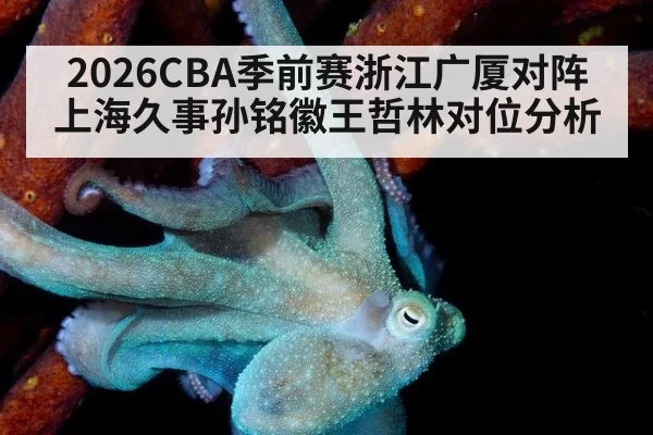 2026CBA季前赛浙江广厦对阵上海久事孙铭徽王哲林对位分析